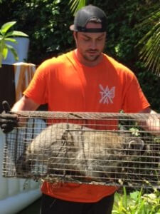 Los Angeles animal trapper with a raccoon in a cage